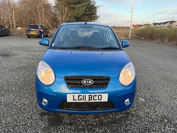 Used Kia Picanto 2011 for sale - 78016569: Photo