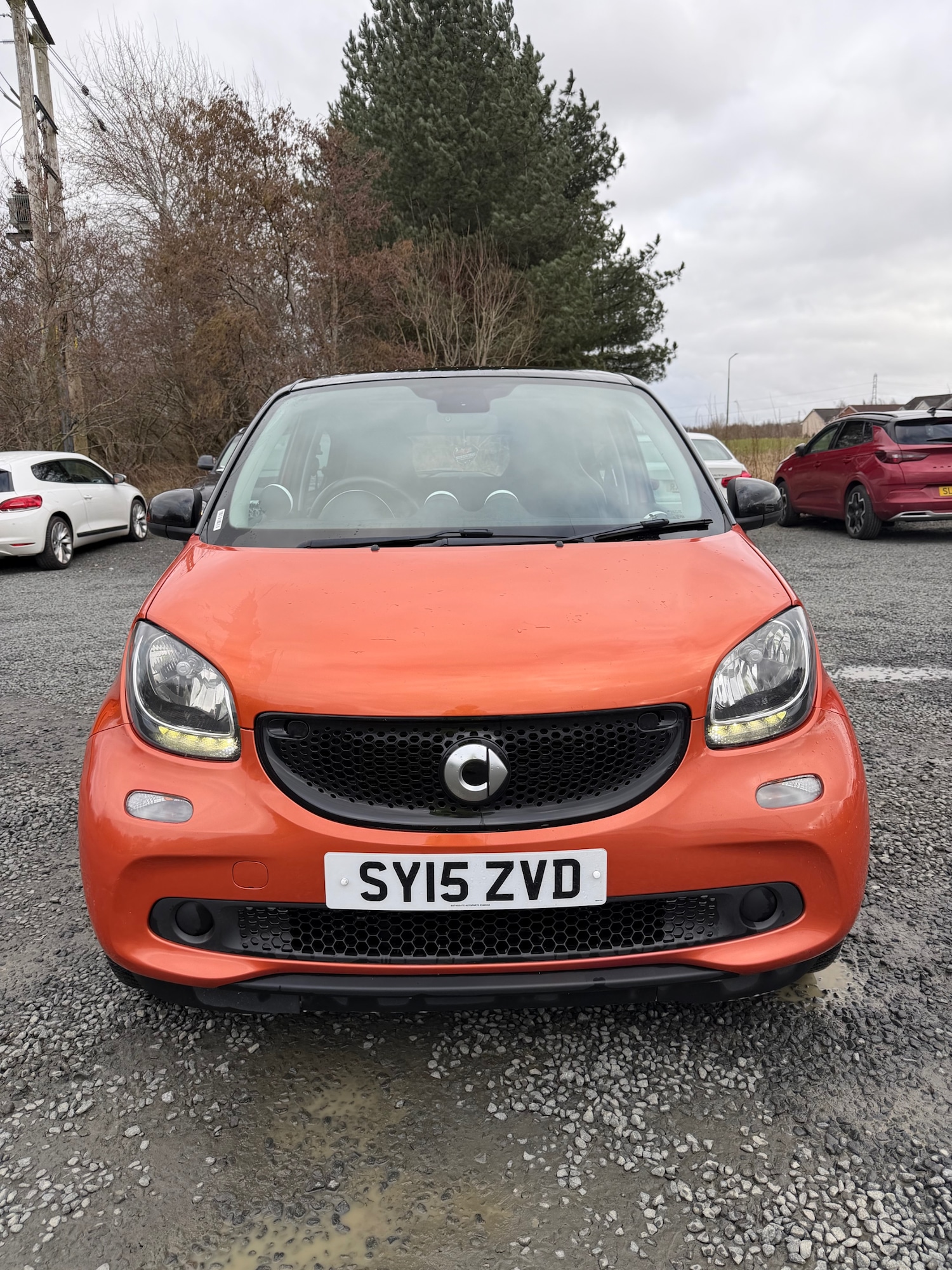 Used smart forfour 2015 for sale - 77651511: Photo 2