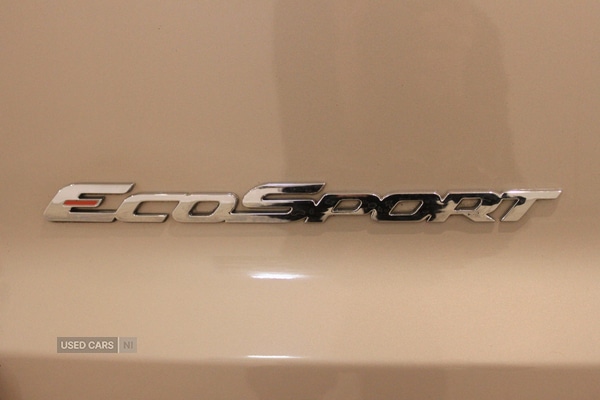 Used Ford Ecosport 2019 for sale - 77315570: Photo 33
