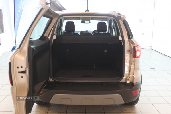 Used Ford Ecosport 2019 for sale - 77315570: Photo 9