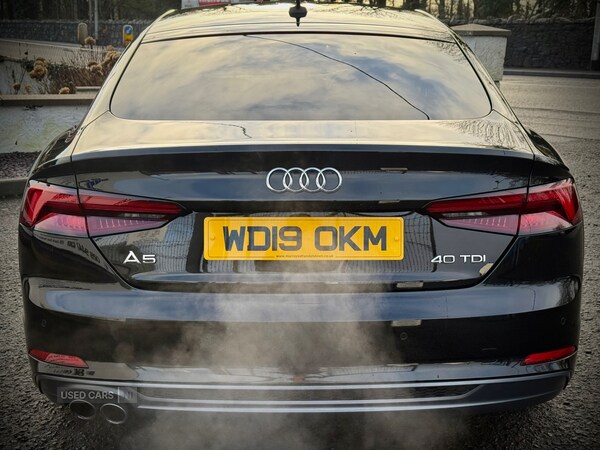 Used Audi A5 2019 for sale - 77217895: Photo 6