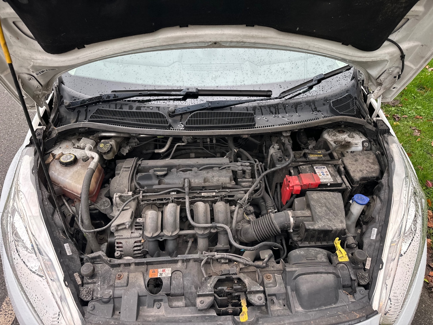 Used Ford Fiesta 2014 for sale - 76756922: Photo 16