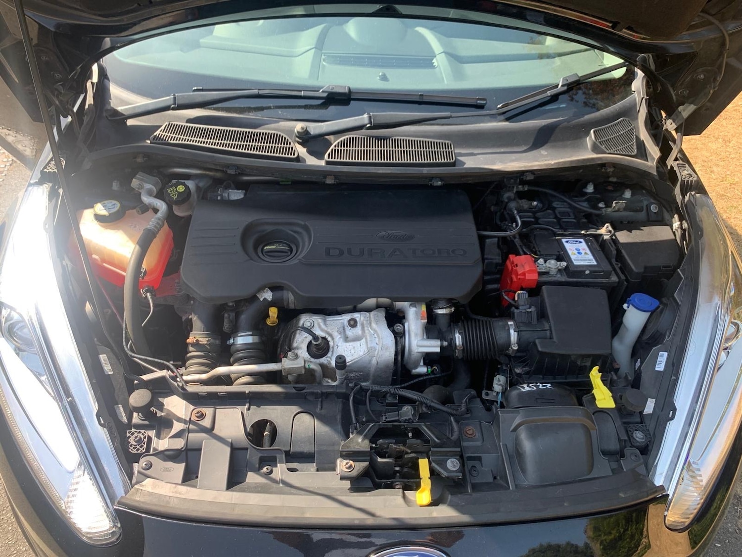 Used Ford Fiesta 2016 for sale - 77409933: Photo 16