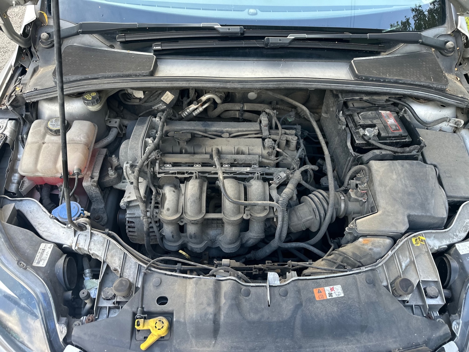 Used Ford Focus 2011 for sale - 76165302: Photo 16