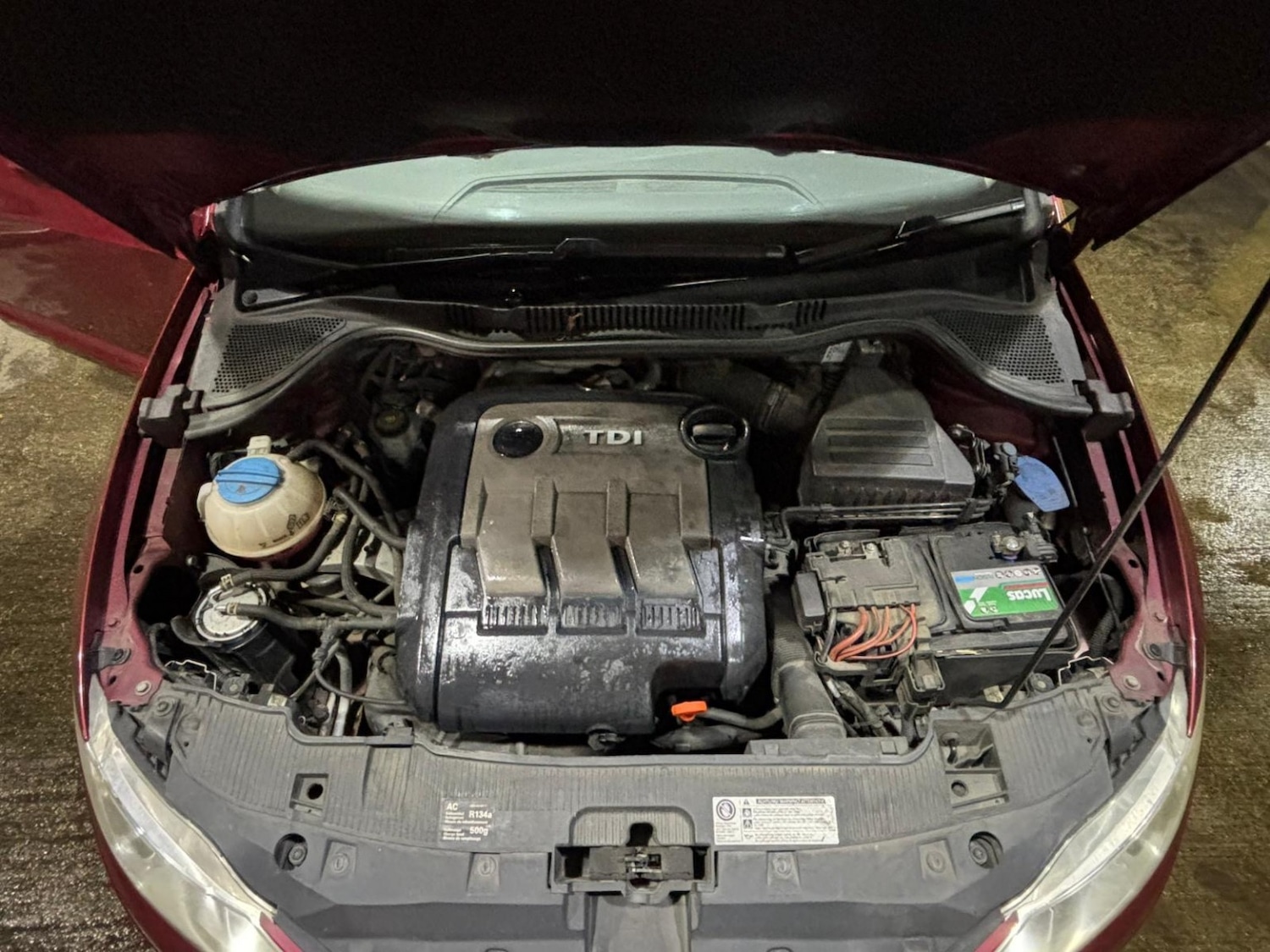 Used SEAT Ibiza 2010 for sale - 77649589: Photo 10