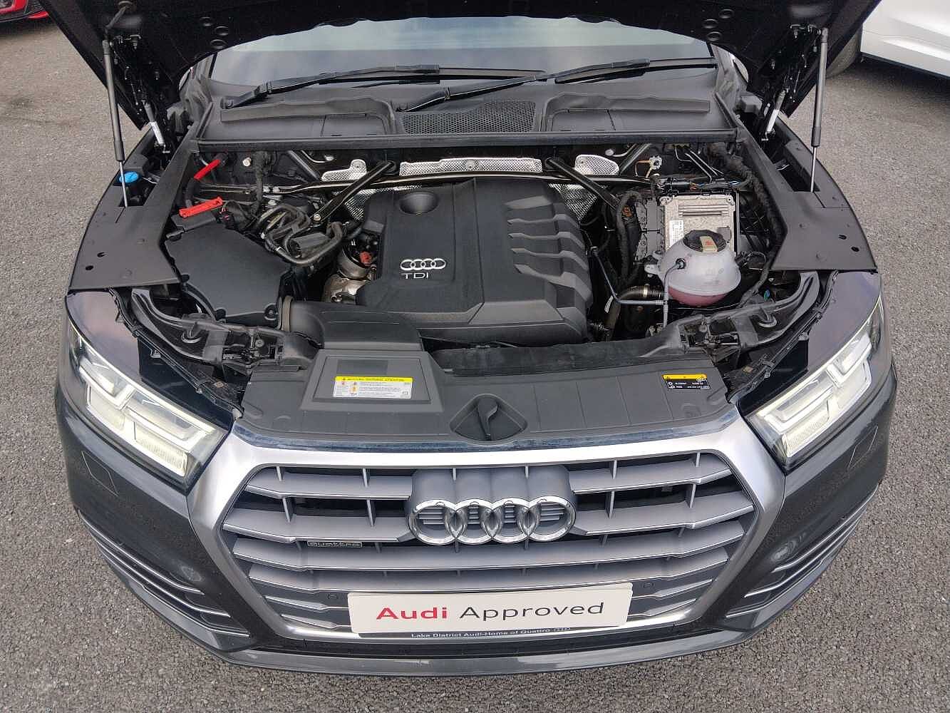 Used Audi Q5 2019 for sale - 78031900: Photo 9