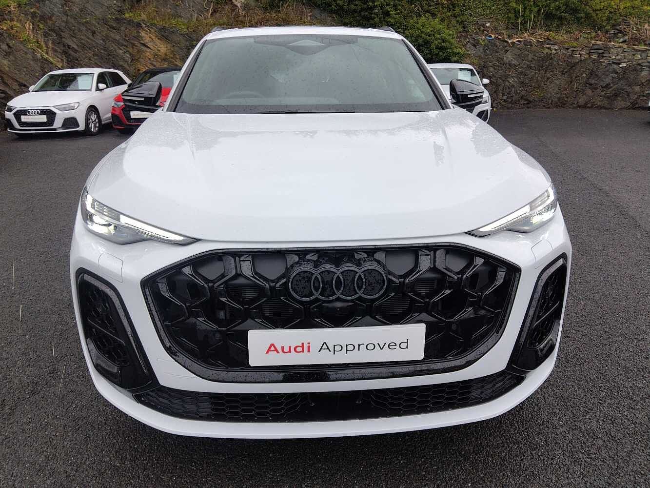 Used Audi Q5 2025 for sale - 77618282: Photo 7