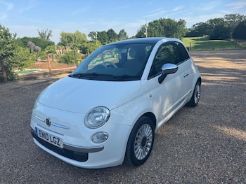 Used Fiat 500 2010 for sale - 79012756: Photo