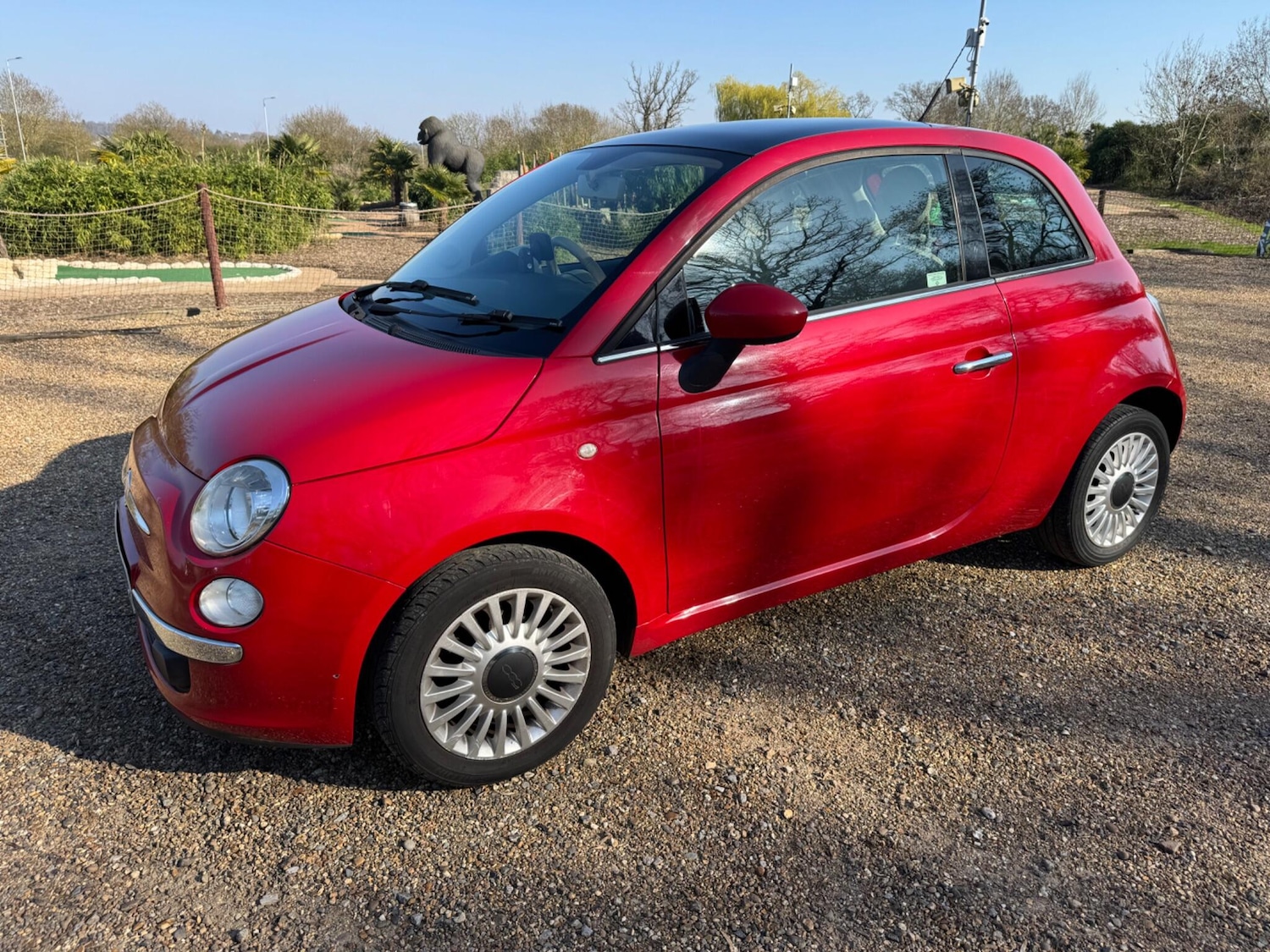 Used Fiat 500 2011 for sale - 77970663: Photo 5