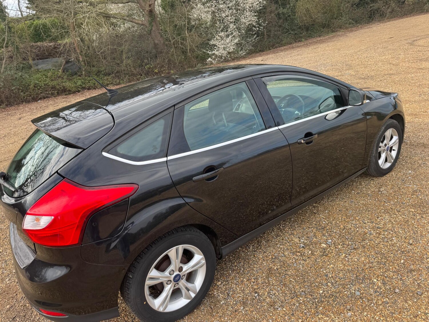 Used Ford Focus for sale - 77738674: Photo 14