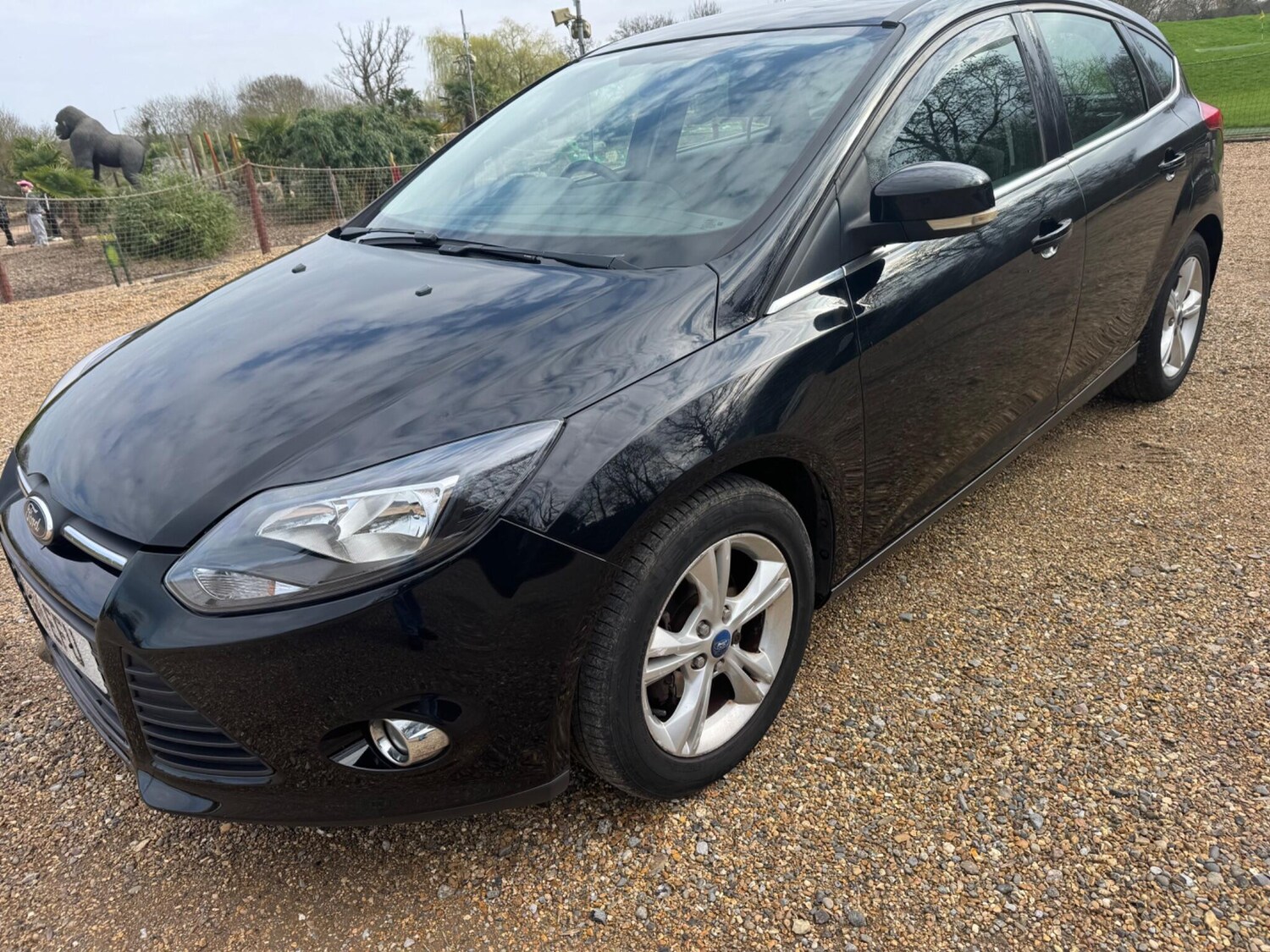 Used Ford Focus for sale - 77738674: Photo 6