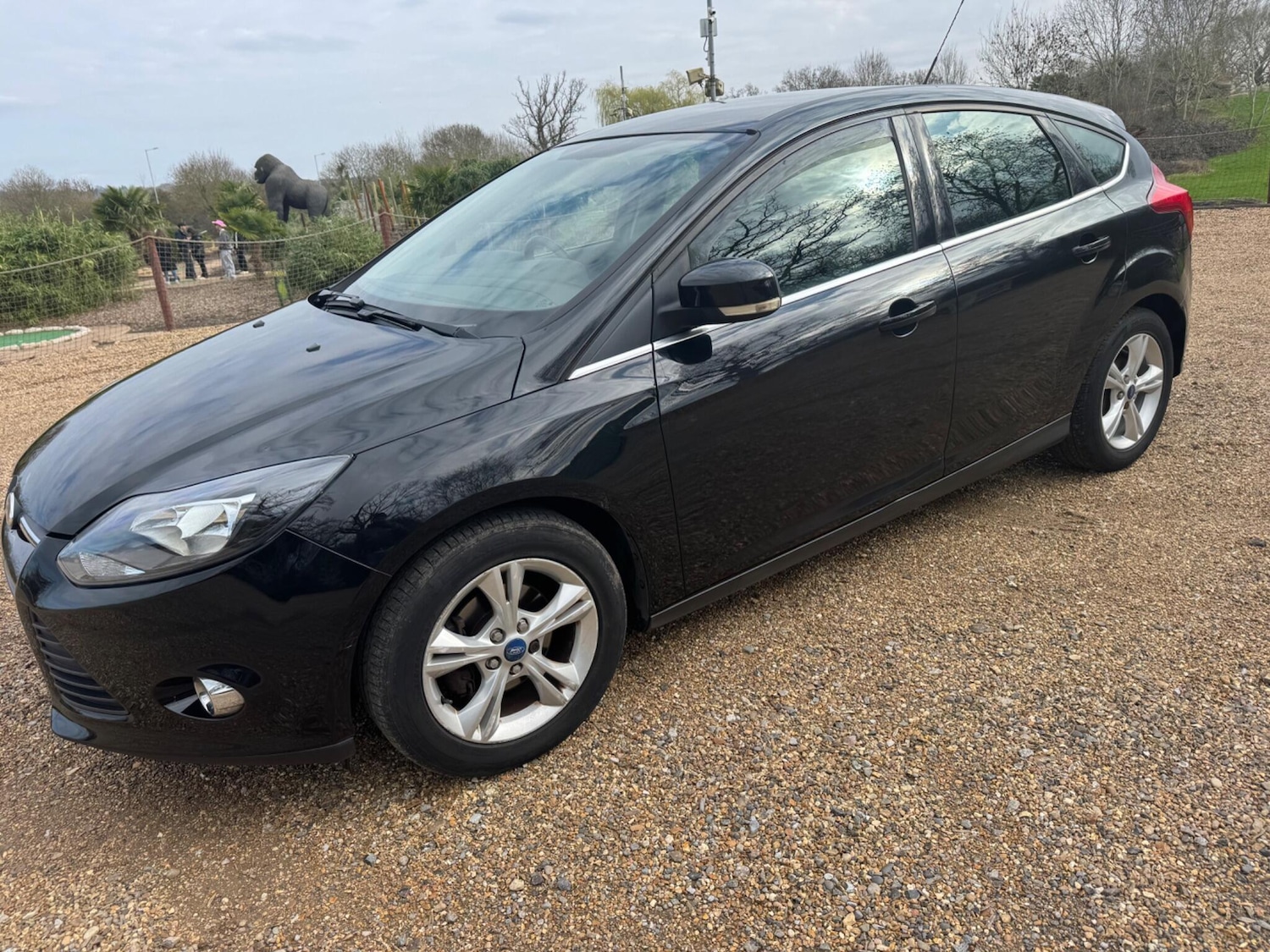 Used Ford Focus for sale - 77738674: Photo 7