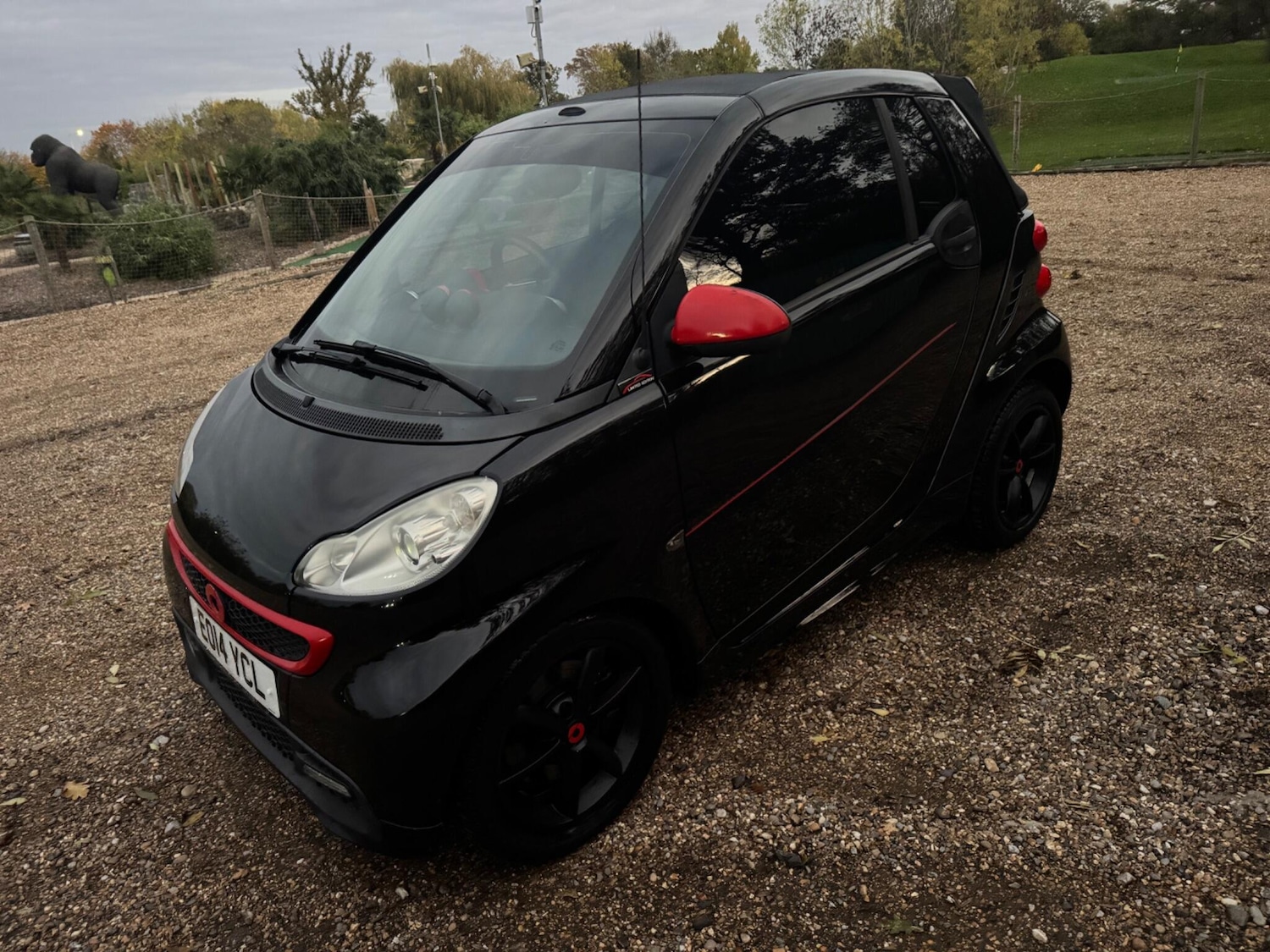 Used smart fortwo 2014 for sale - 76388586: Photo 14