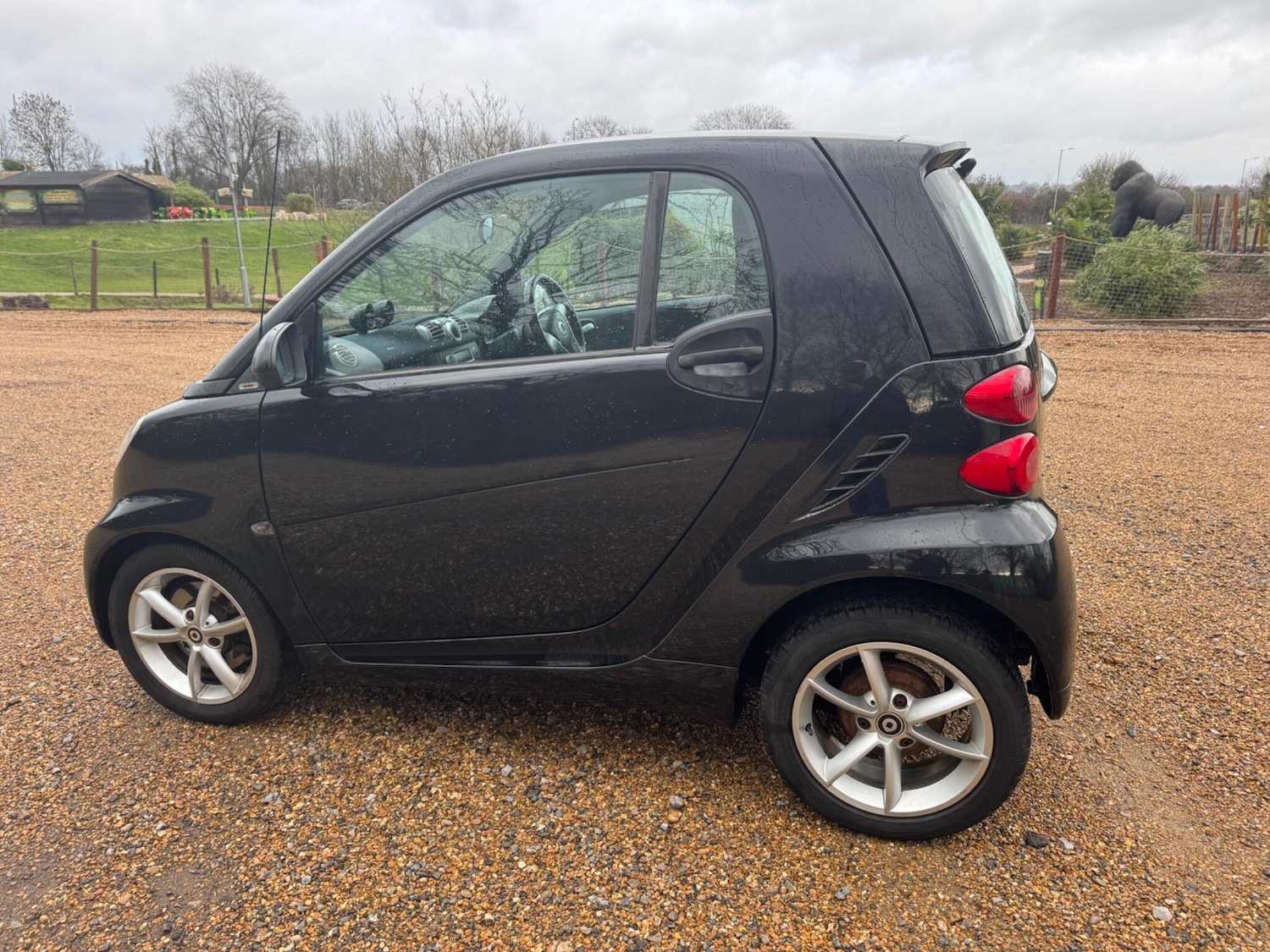 Used smart fortwo 2011 for sale - 77156759: Photo 11