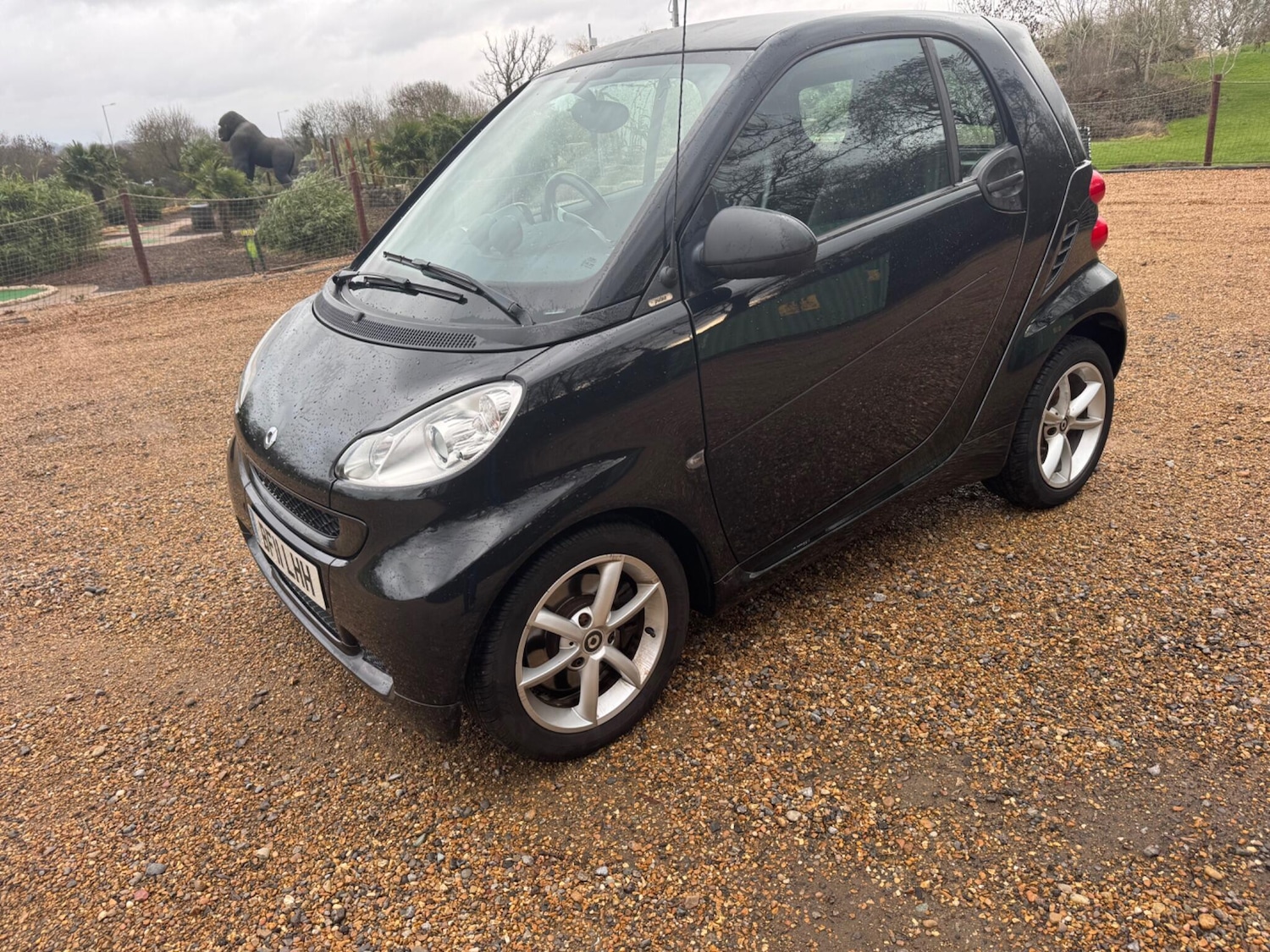 Used smart fortwo 2011 for sale - 77156759: Photo 12