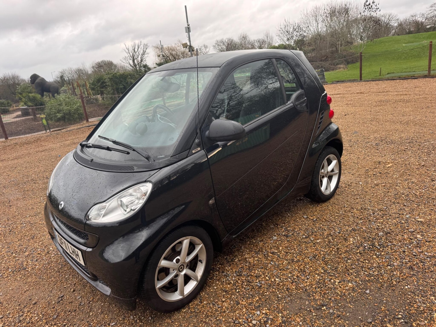 Used smart fortwo 2011 for sale - 77156759: Photo 13