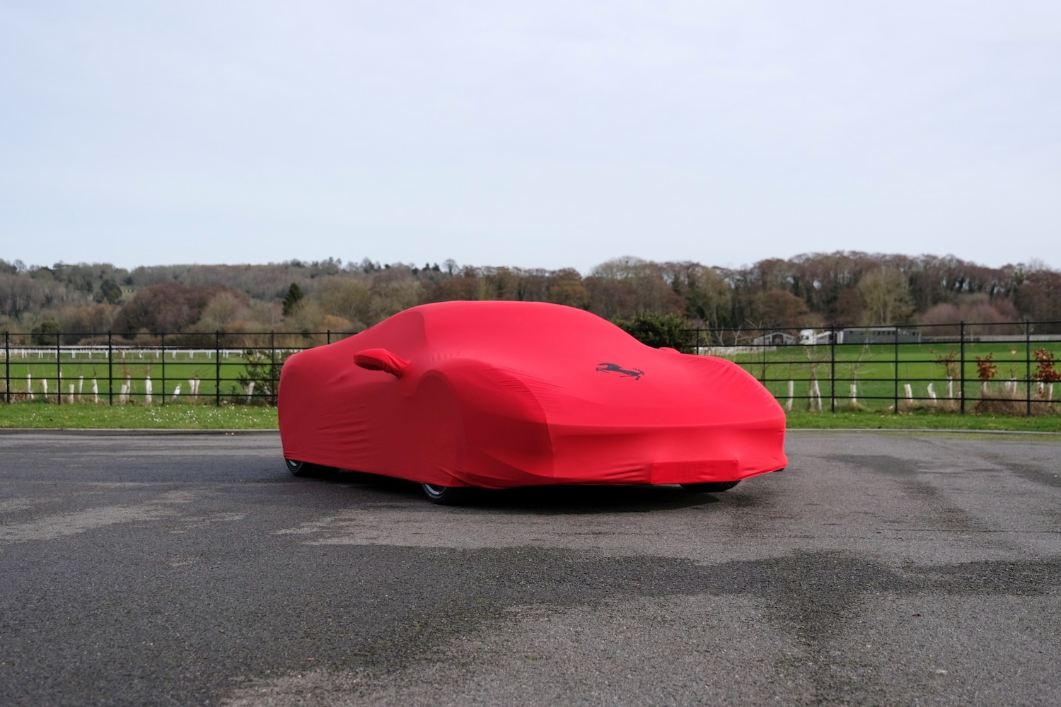 Used Ferrari 458 2013 for sale - 77603479: Photo 19