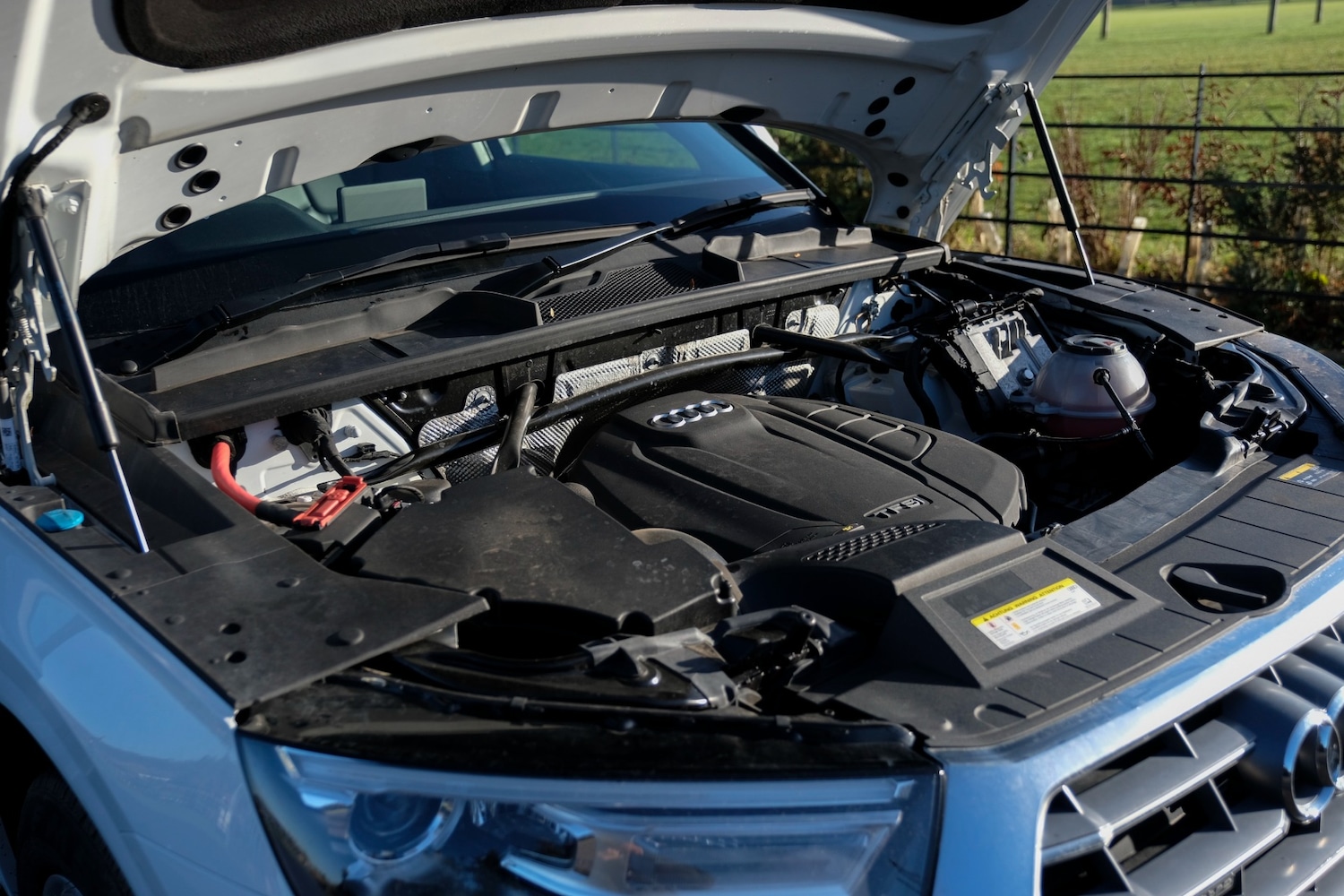 Used Audi Q5 2019 for sale - 76945295: Photo 69