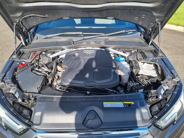 Used Audi A4 2016 for sale - 77705792: Photo 11