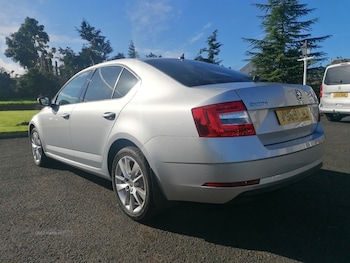 Used Skoda Octavia 2019 for sale - 76474316: Photo