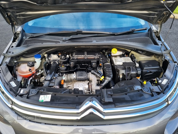 Used Citroen C3 2024 for sale - 77346007: Photo 11