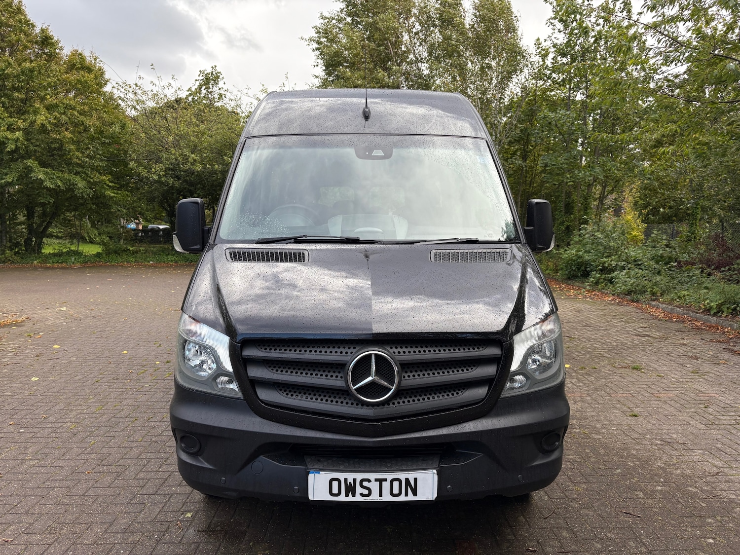 Used Mercedes-Benz Sprinter 2017 for sale - 75797717: Photo 2