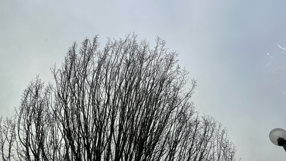 Used Volkswagen Tiguan 2025 for sale - 76709571: Photo 38