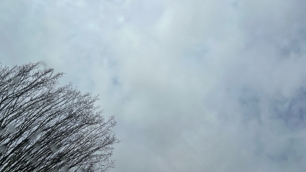 Used Skoda Karoq 2021 for sale - 76870335: Photo 31