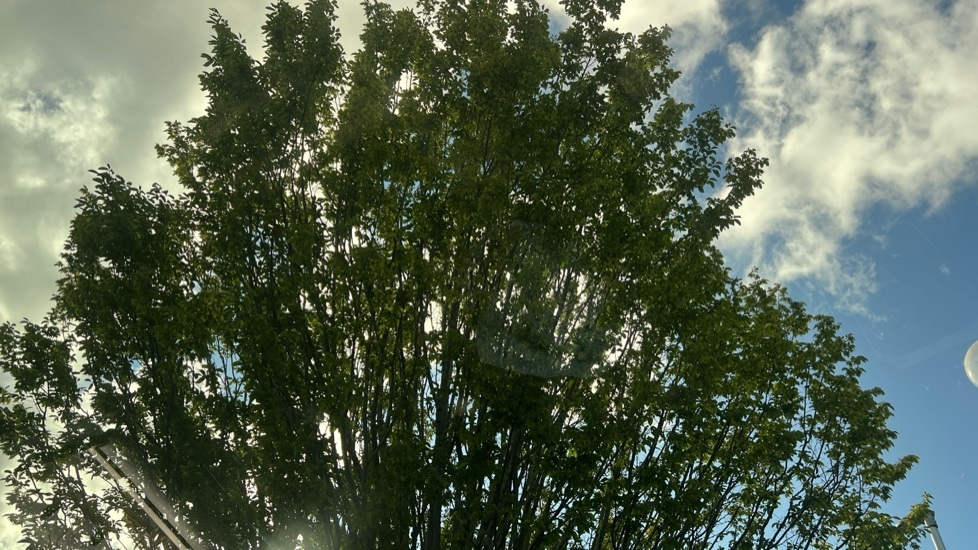 Used Volkswagen T-Roc 2025 for sale - 76870339: Photo 38