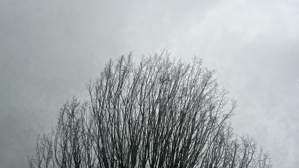 Used Volkswagen Tiguan 2025 for sale - 76927842: Photo 38