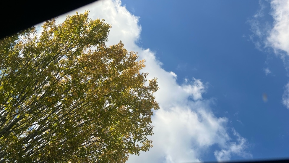 Used Volkswagen Tiguan 2025 for sale - 76869853: Photo 38