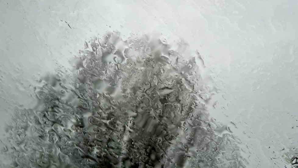 Used Volkswagen Polo 2025 for sale - 77060620: Photo 38