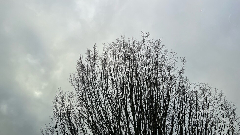 Used Volkswagen T-Roc 2025 for sale - 76684305: Photo 38