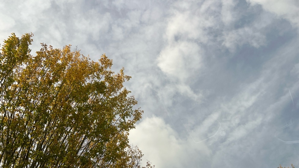 Used Volkswagen Golf 2025 for sale - 76442156: Photo 38