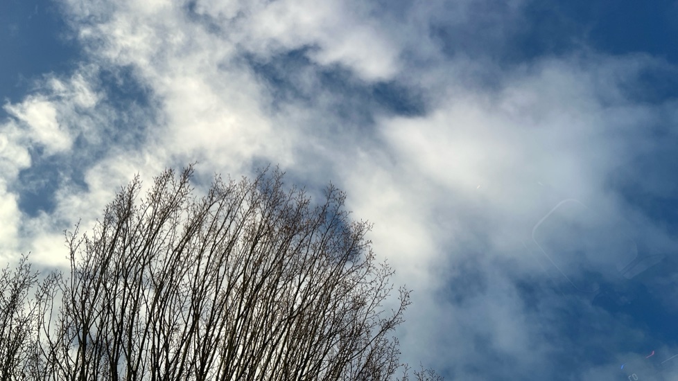 Used Volkswagen T-Roc 2023 for sale - 76871652: Photo 38