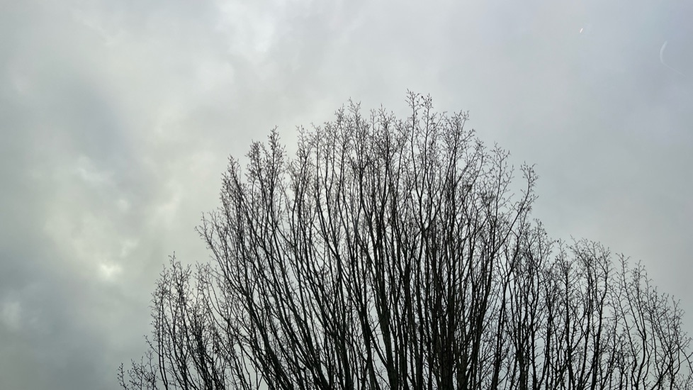 Used Volkswagen T-Roc 2025 for sale - 76872886: Photo 38