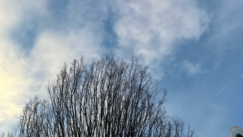 Used Volkswagen Tiguan 2025 for sale - 76873666: Photo 38