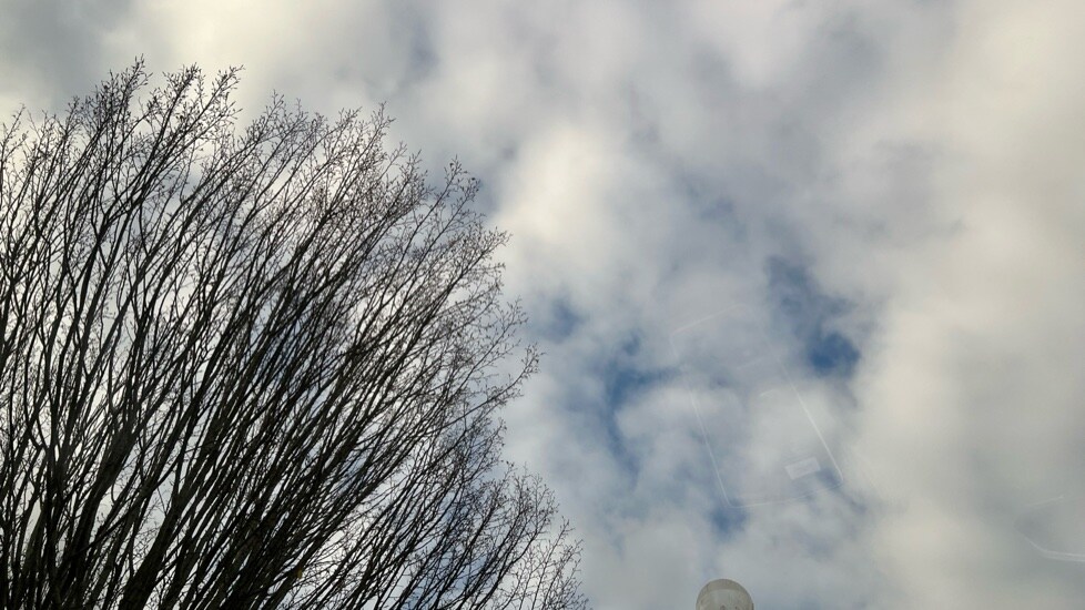 Used Volkswagen Golf 2025 for sale - 76533928: Photo 38