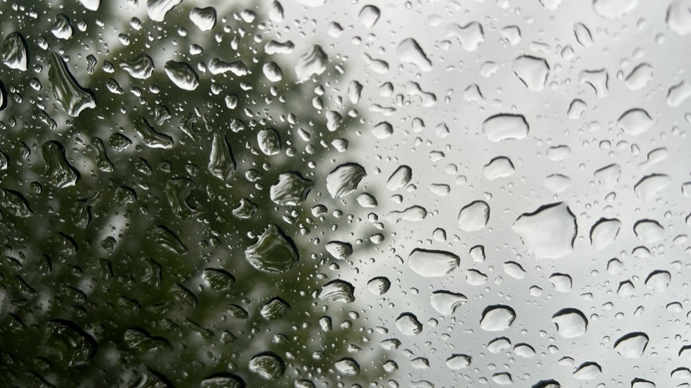 Used Skoda Karoq 2022 for sale - 76868644: Photo 31