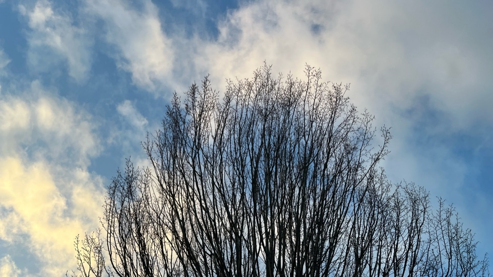 Used Volkswagen ID.4 2025 for sale - 76927820: Photo 38