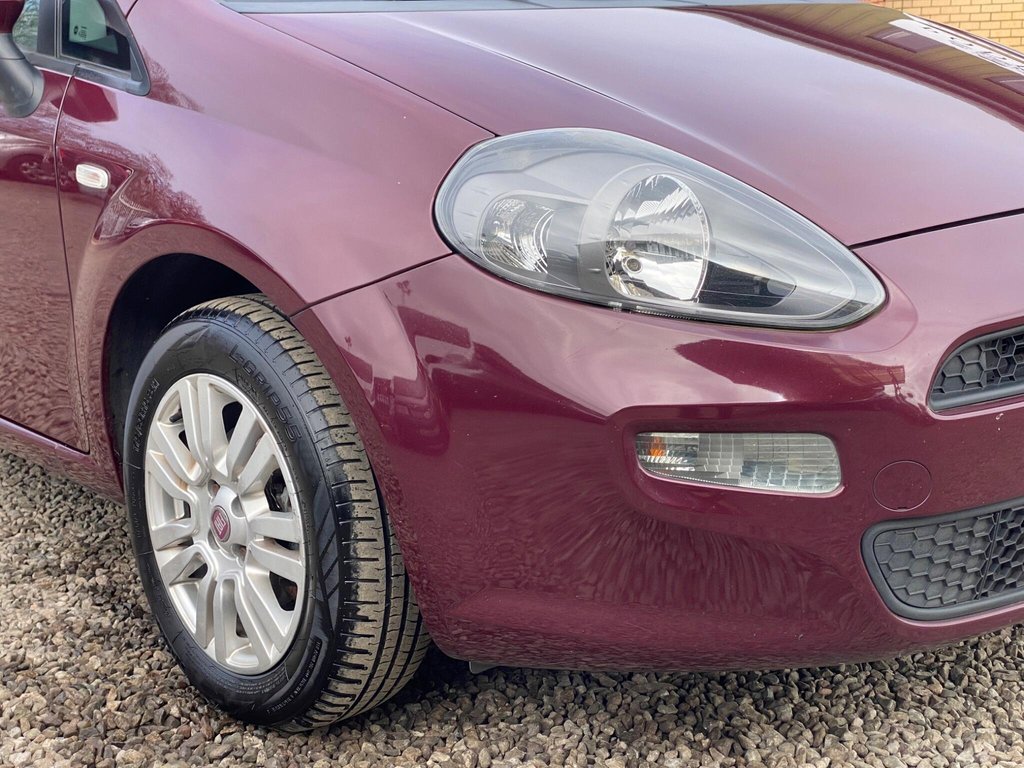 Used Fiat Punto 2012 for sale - 77739719: Photo 23