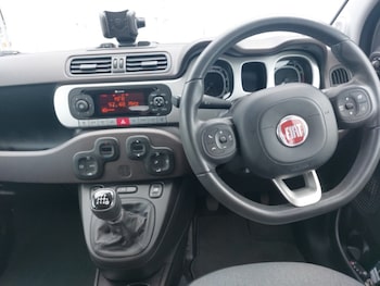 Used Fiat Panda 2019 for sale - 78994337: Photo
