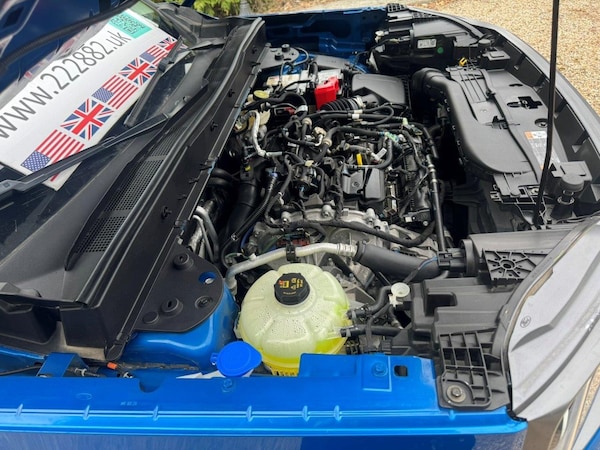 Used Ford Bronco 2025 for sale - 75486454: Photo 41