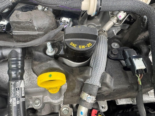 Used Ford Bronco 2025 for sale - 75486454: Photo 44