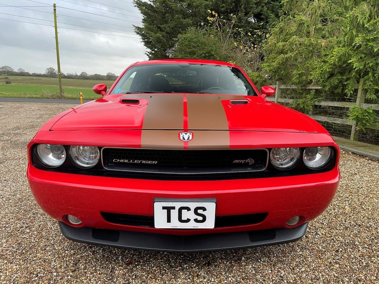 Used Dodge Challenger 2015 for sale - 76757021: Photo 100