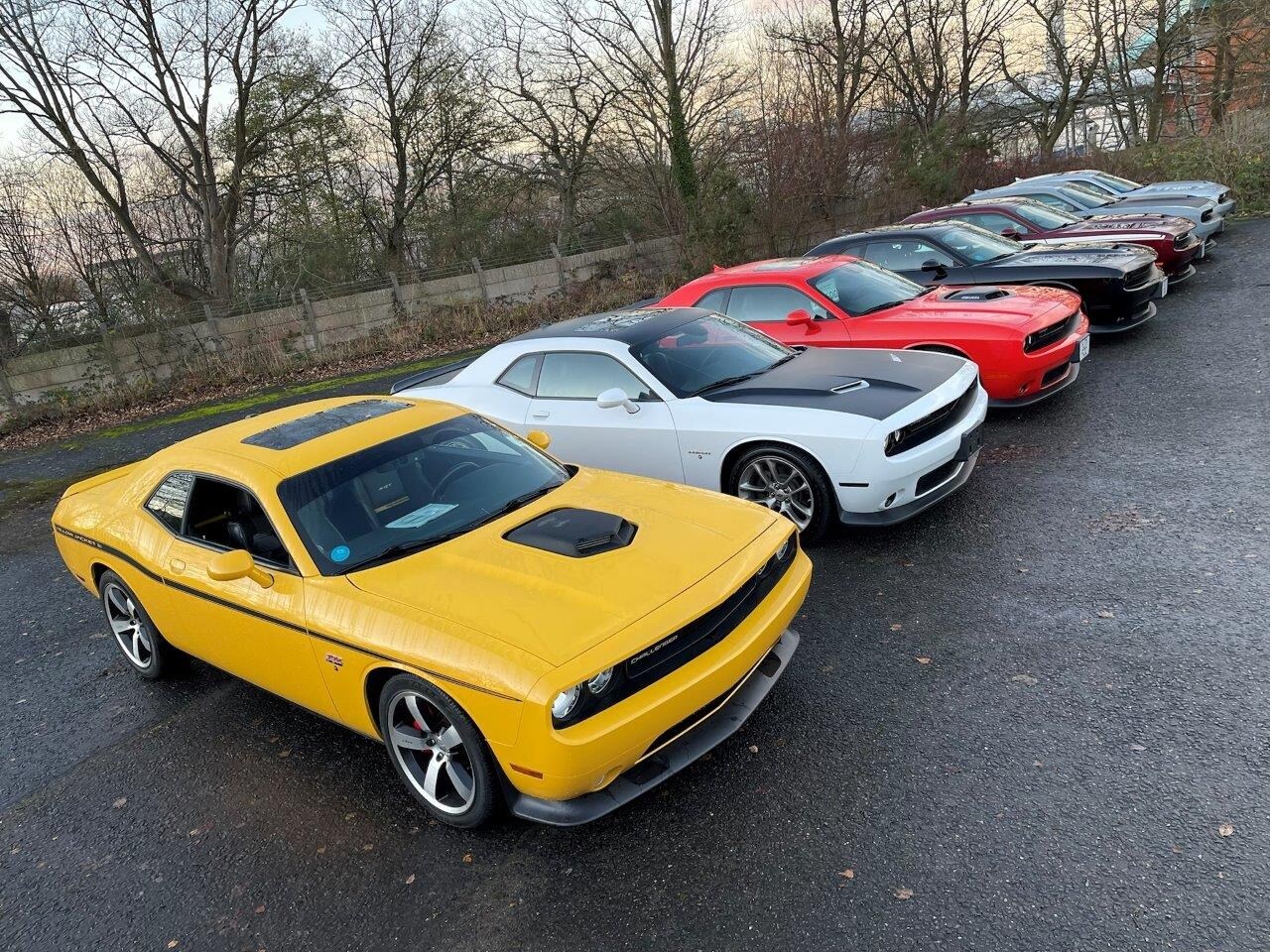 Used Dodge Challenger 2015 for sale - 76757021: Photo 87