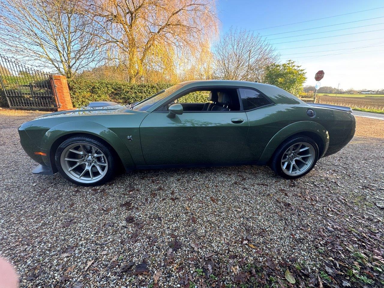 Used Dodge Challenger 2023 for sale - 77012306: Photo 9