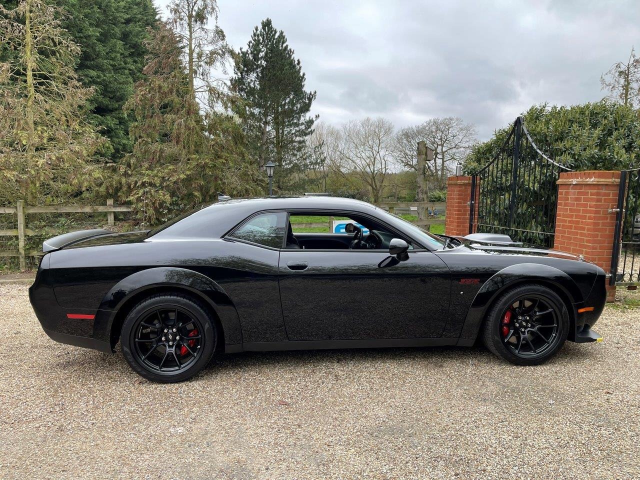 Used Dodge Challenger 2024 for sale - 78139777: Photo 7