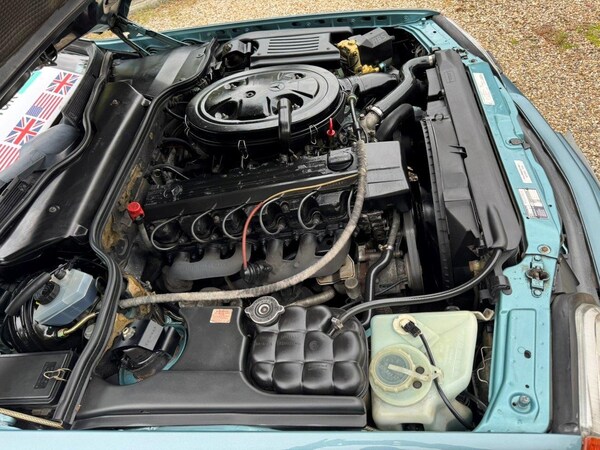 Used Mercedes-Benz S-Class 1992 for sale - 74670801: Photo 33