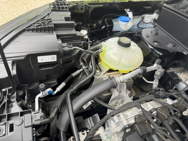 Used Ford Bronco 2025 for sale - 75486903: Photo 47